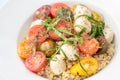 Caprese Quinoa Salad Royalty Free Stock Photo