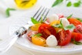 Caprese salad Royalty Free Stock Photo