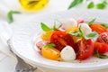 Caprese salad Royalty Free Stock Photo