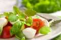 Caprese salad Royalty Free Stock Photo