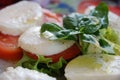 Caprese salad Royalty Free Stock Photo