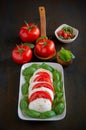 Caprese salad with buffalo mozzarella, tomato and basil with olive oil