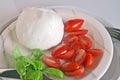 Caprese salad with buffalo mozzarella