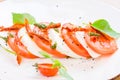 Caprese salad or Buffalo mozzarella with tomatoes Royalty Free Stock Photo