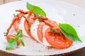 Caprese salad or Buffalo mozzarella with tomatoes Royalty Free Stock Photo