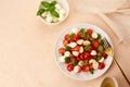 Caprese salad with cherry tomatoes , mozzarella cheese, basil Royalty Free Stock Photo