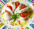 Italian food: Caprese salad of layered mozzarella, tomato, fresh basil, herbs and olive oil Royalty Free Stock Photo