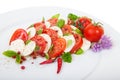 Caprese salad Royalty Free Stock Photo