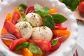 Caprese salad. Italian caprese salad with sliced tomatoes, mozzarella cheese, basil, olive oil in white plate over white backgroun Royalty Free Stock Photo