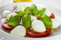 Caprese Salad Royalty Free Stock Photo