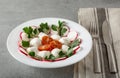 Caprese salad with mozarella cheese, tomatoes and basil