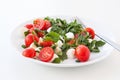 Salad of tomato, mozzarella and rucola Royalty Free Stock Photo