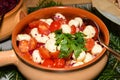 Caprese salad. Mozzarella and cherry tomatoes. Food selection during Sunday brunch buffet in hotel Royalty Free Stock Photo