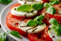 Caprese salad with ripe tomatoes, mozzarella cheese, fresh basil Royalty Free Stock Photo