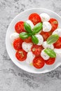 Caprese salad. Salad with mozzarella cheese fresh tomatoes, basil leaves and olive oil. Italian food Royalty Free Stock Photo