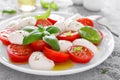 Caprese salad. Salad with mozzarella cheese fresh tomatoes, basil leaves and olive oil. Italian food Royalty Free Stock Photo