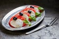 Caprese Salad. Tomato and Mozzarella slices Royalty Free Stock Photo
