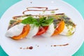 Caprese salad with tomatoes, mozzarella and basil. Red and orange tomatoes with white cheese and sauce. Portion of food Royalty Free Stock Photo