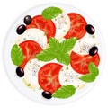 Caprese Salad. Vector