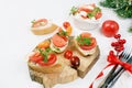 Caprese and Toast bruschetta with mozzarella cheese, cherry tomatoes and fresh garden basil. Traditional Italian food, healthy Royalty Free Stock Photo