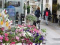 Capri, Campania, Italy. April 25, 2017. Two women walking in a street in capri island