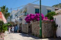 Fabulous colorful street of Anacapri on Capri island. Touristic places concept