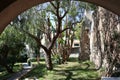 Capri - Scorcio del giardino dall`uscita della Chiesa di San Michele alla Croce