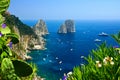 Capri coast with Faraglioni rocks, flowers and boats, Italy