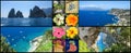 Capri Collage Royalty Free Stock Photo