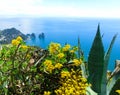 Capri island, Italy, near Naples. Royalty Free Stock Photo