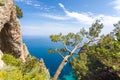 Capri Italy, island in a beautiful summer day, with faraglioni rocks and natural stone arch.