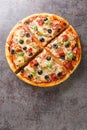 Capricciosa a classic pizza with artichokes, olives, ham and mushrooms closeup on the wooden board. Vertical top view Royalty Free Stock Photo