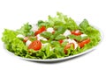 Caprice salad Royalty Free Stock Photo