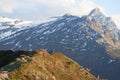 Capricorn Alpine Ibex Capra ibex Mountain Swiss Alps