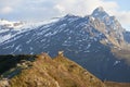 Capricorn Alpine Ibex Capra ibex Mountain Swiss Alps