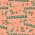 Capricorn Cute 3D illustration Zodiac signs seamless pattern , Zodiac icons astrological pattern Horoscope symbols Royalty Free Stock Photo