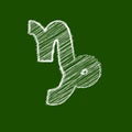 Capricorn, 21 December - 20 January. HOROSCOPE SIGNS OF THE ZODIAC - white Scribble on a green background Royalty Free Stock Photo