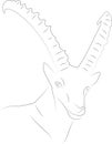 Capricorn. The head of a mountain goat with long horns