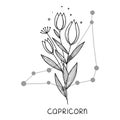 Capricorn horoscope flower icon outline vector. Zodiac sign astrology Royalty Free Stock Photo