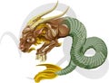 Capricorn the sea goat star sign