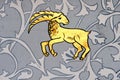 Capricorn the sea goat zodiac sign