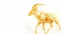 Capricorn sign of horoscope isolated on white Royalty Free Stock Photo