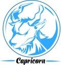 Capricorn zodiac sign artwork, blue beautiful horoscope symbol, vector illustration at circle background