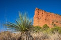 Caprock canyon texas Royalty Free Stock Photo