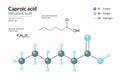 Caproic Acid. Hexanoic Acid. Structural Chemical Formula and 3d Model of Molecule. C6H12O2. Atoms with Color Coding. Vector