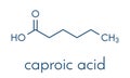 Caproic acid hexanoic acid fatty acid molecule. Salts and esters are called hexanoates or caproates. Skeletal formula.