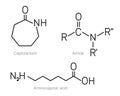 Caprolactam, Amide and Aminocaproic acid