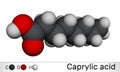 Caprylic acid , octanoic acid molecule. It is straight-chain saturated fatty and carboxylic acid. Salts are known as Royalty Free Stock Photo