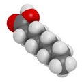 Caprylic (octanoic) acid. Medium-chain fatty acid, used as antimicrobial agent, food supplement and chemical intermediate. Atoms