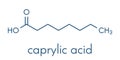 Caprylic octanoic acid molecule. Common saturated medium-chain fatty acid. Skeletal formula.